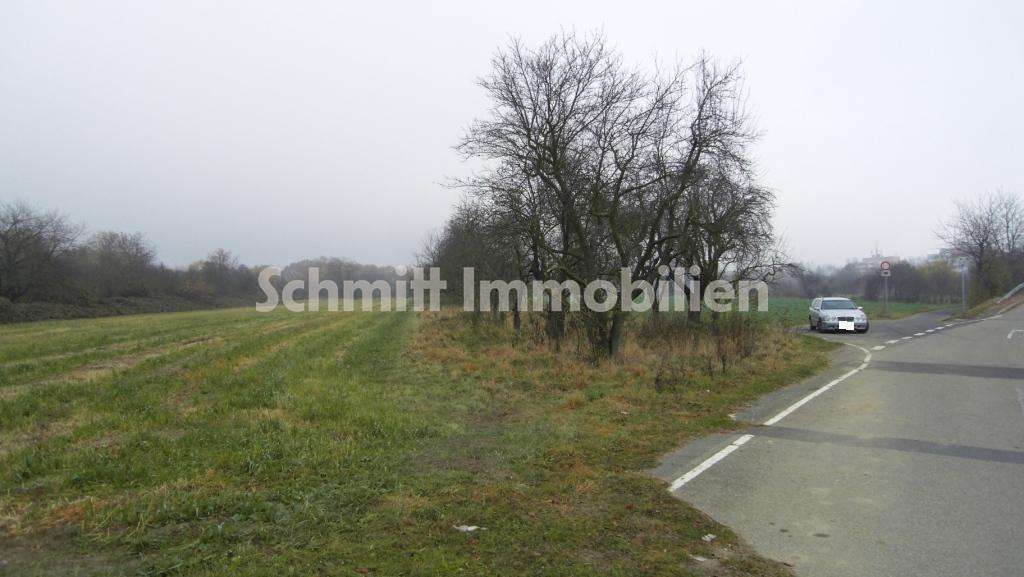 Ansicht 1  Kelsterbacher Weg